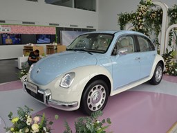 歐拉芭蕾貓 外觀圖片