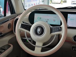 歐拉芭蕾貓 中控圖片