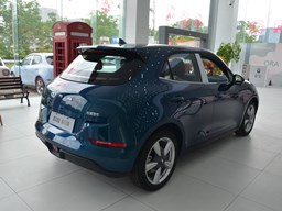 歐拉好貓外觀圖片