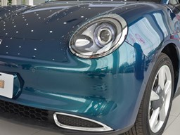 歐拉好貓細節(jié)圖片