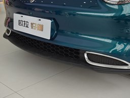 歐拉好貓細節(jié)圖片