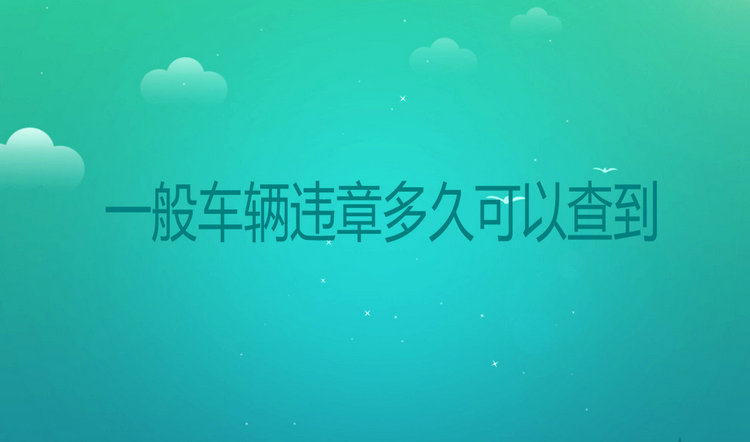 一般車輛違章多久可以查到