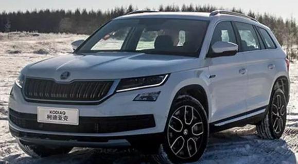 你認(rèn)為探岳和柯迪亞克哪個好，誰更物美價廉（性價比高）