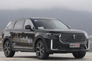 奔騰t99油耗多少真實(shí)油耗，2.0T發(fā)動(dòng)機(jī)實(shí)測油耗最低10L