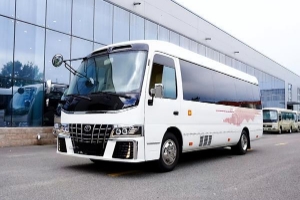 豐田考斯特9座商務(wù)車多少錢，市場報(bào)價(jià)90萬起（裸車最高優(yōu)惠12萬）