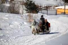 買車如何選擇前驅(qū)、后驅(qū)、四驅(qū)，想不到差別這么大！