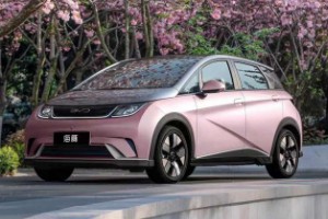 比亞迪純電售價(jià)10萬左右 新能源海豚10萬元一臺(比亞迪e2僅售9萬)