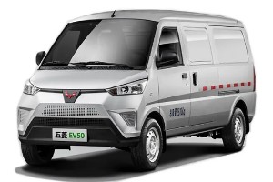 五菱ev50電動(dòng)車售價(jià)多少錢 2022款五菱ev50售價(jià)13萬(wàn)(落地13萬(wàn))
