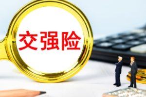 車輛必買的4個險 交強險、三者險、不計免賠、車損險屬于必買四項