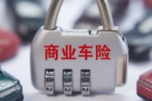 機(jī)動(dòng)車損失保險(xiǎn)有沒(méi)有必要買(mǎi) 新車購(gòu)買(mǎi)車損險(xiǎn)有必要（對(duì)車輛有保障）