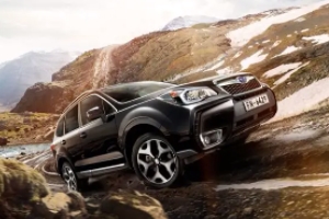 斯巴魯森林人怎么樣 油耗低、視野好、空間大、配置高（百公里7.8L）