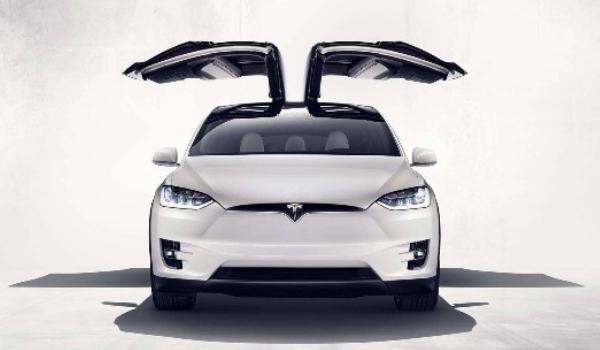 特斯拉Model X歐翼門，值得你擁有（個(gè)性獨(dú)特）