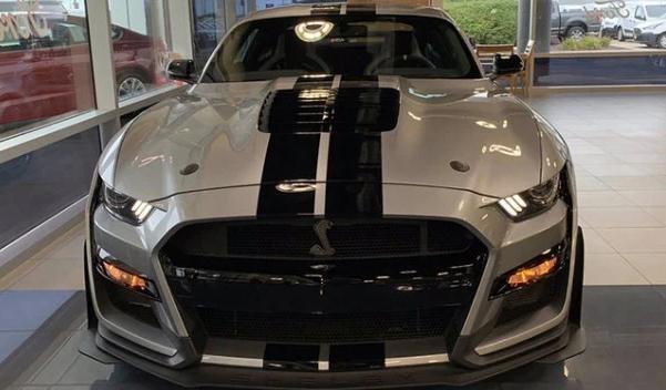 野馬眼鏡蛇多少錢，野性十足（超級跑車速度飛揚）