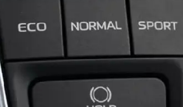 sport是什么意思，運動版車型（也指運動模式）