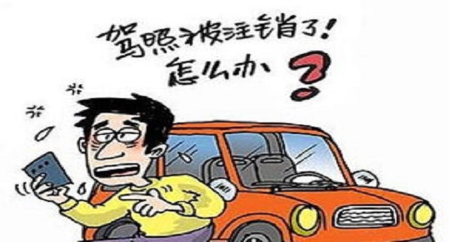 實習(xí)期上高速怎么處罰，安全無保障一切都為零