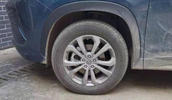 星途追風(fēng)輪胎型號(hào)是多少 輪胎尺寸225/55 r19(胎寬225mm)