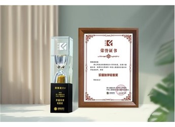 輕松高效創(chuàng)造價值 圖雅諾大V榮膺價值伙伴輕客獎 封面圖