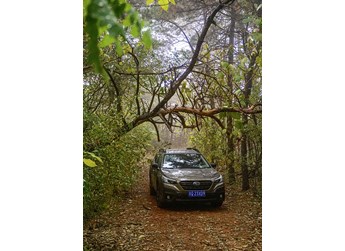 潮濕的空氣 熟悉的伙伴 2022款斯巴魯傲虎2.5i探享版EyeSight