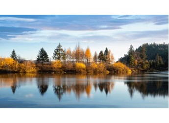 抓住秋天的尾巴 和江鈴域虎9來一場戶外探索 封面圖