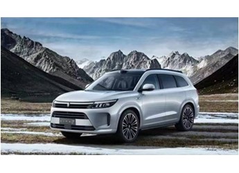 車(chē)企降價(jià)促銷(xiāo) 地方消費(fèi)券加持 年底中國(guó)車(chē)市火爆
