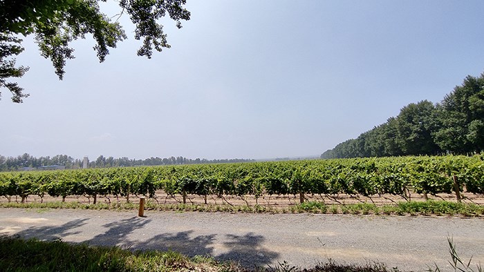 雨后見美景 雷克薩斯RX450hL懷來官廳游記