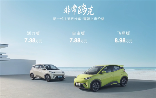 7.38萬(wàn)起！比亞迪海鷗正式上市 續(xù)航最高可達(dá)405km