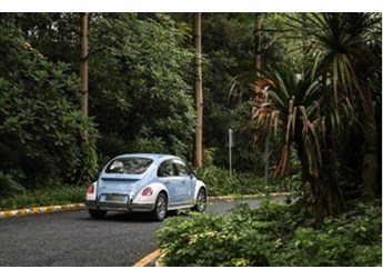 千萬別讓你老婆看到芭蕾貓！我先試駕了 封面圖