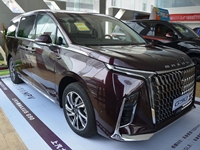 2022款 上汽大通MAUXS G90實拍圖